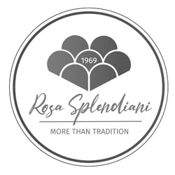Rosa Splendiani